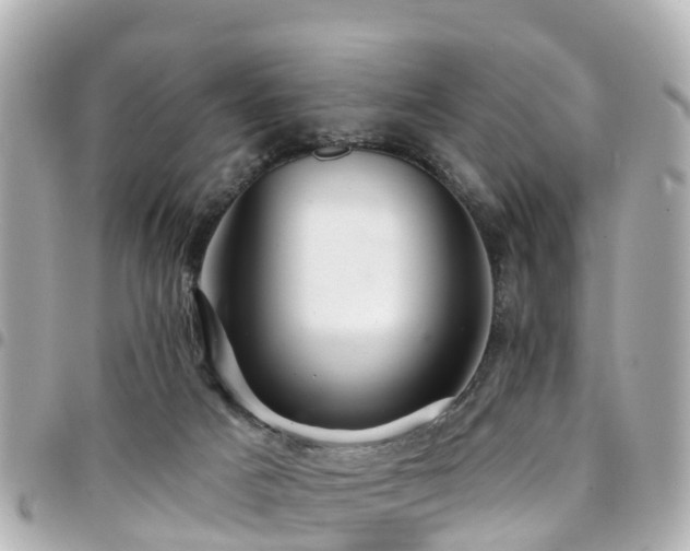 X0000094420025200711081145