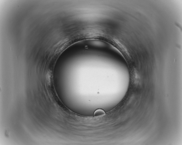 X0000094420026200711081145