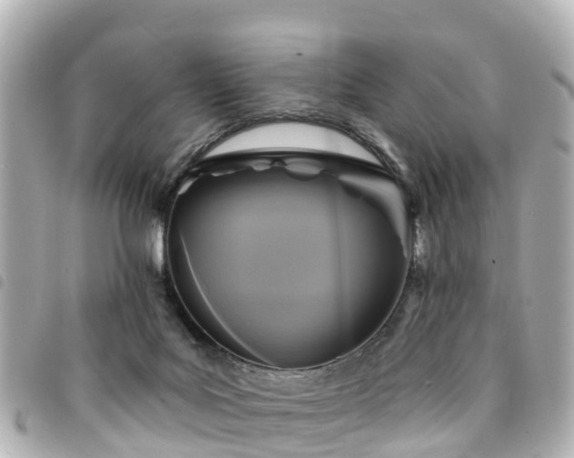 X0000094420027200711081145