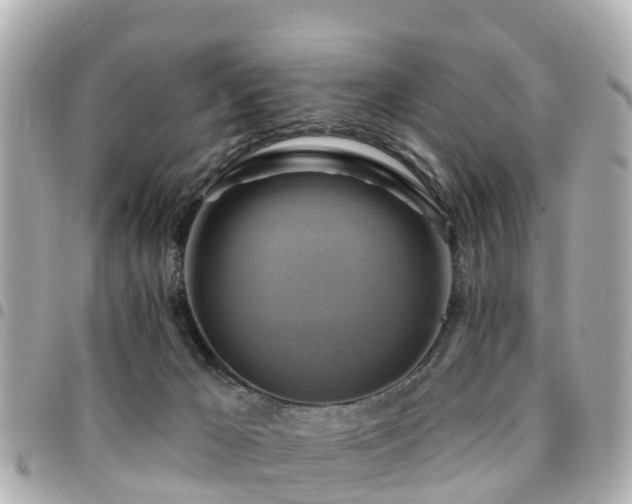 X0000094420029200711081145