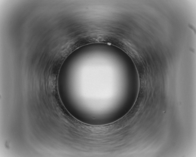 X0000094420030200711081145