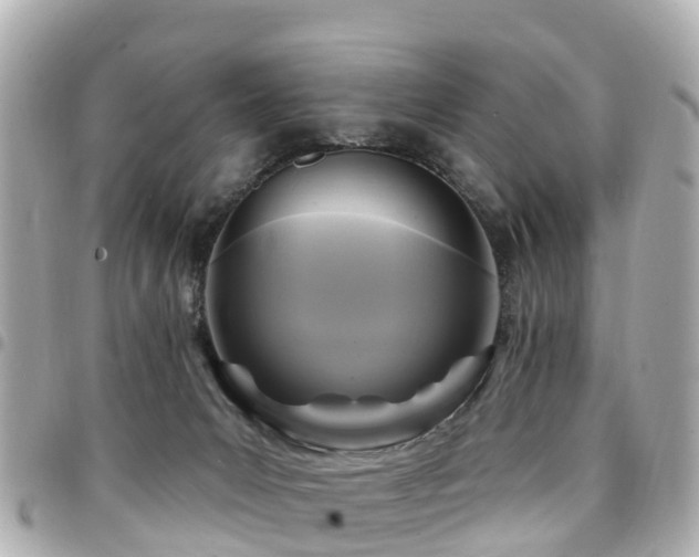 X0000094420031200711081145