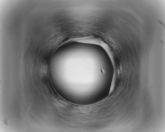 X0000094420033200711081145