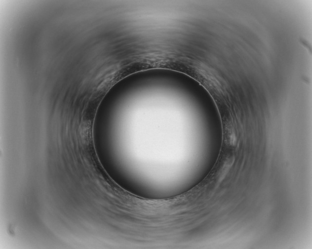 X0000094420034200711081145