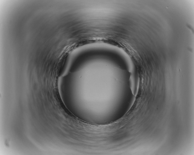 X0000094420035200711081145