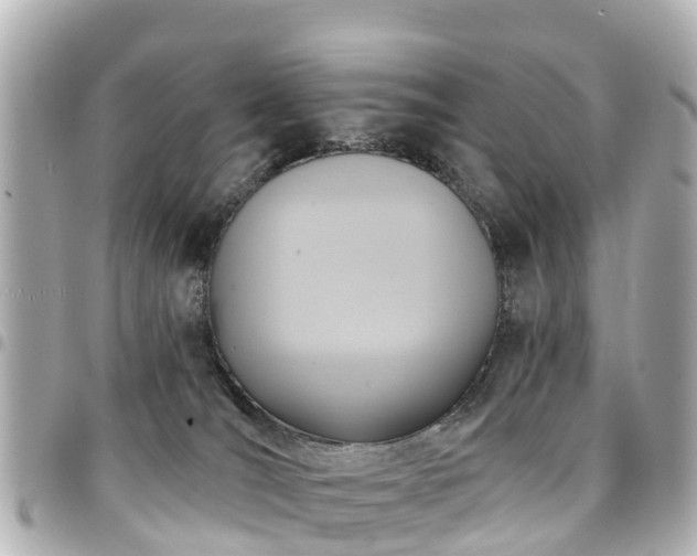 X0000094420036200711081145
