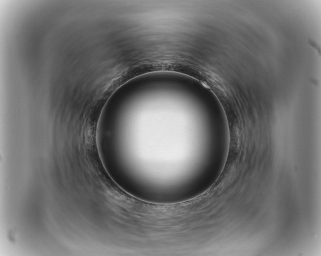X0000094420037200711081145