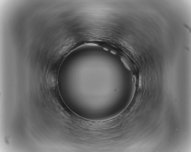 X0000094420039200711081145