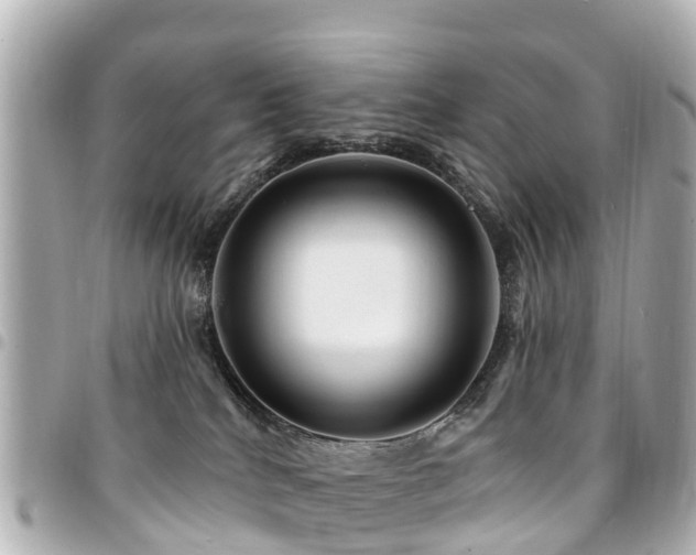X0000094420040200711081145