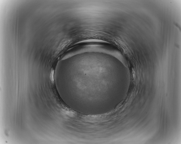 X0000094420041200711081145
