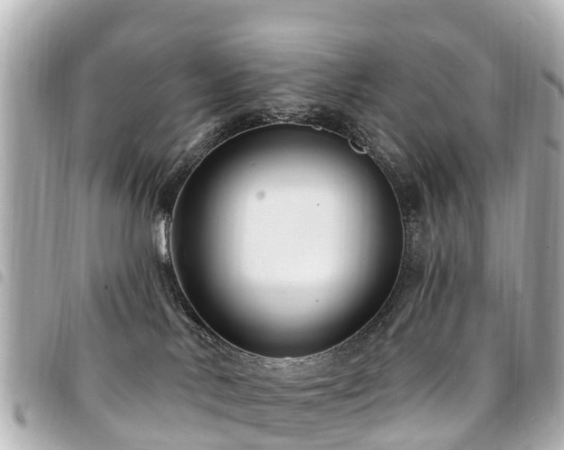 X0000094420042200711081145