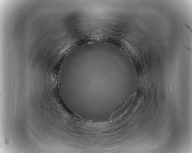 X0000094420043200711081145