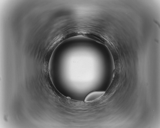 X0000094420044200711081145