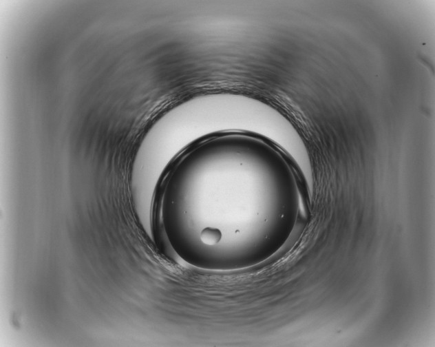 X0000094420045200711081145