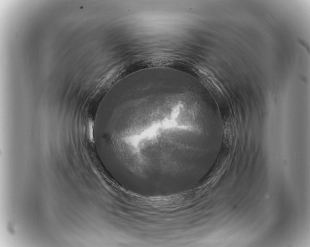 X0000094420046200711081145