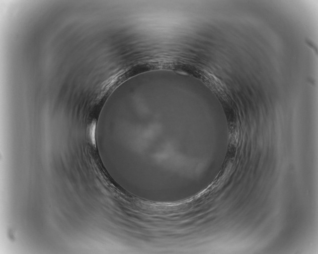 X0000094420047200711081145