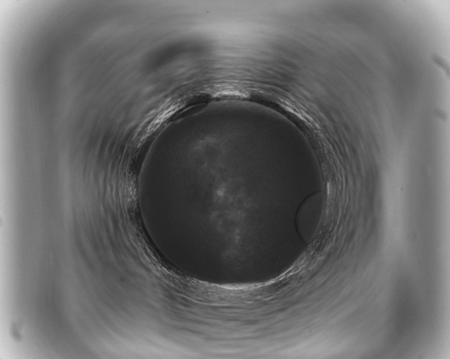 X0000094420048200711081145
