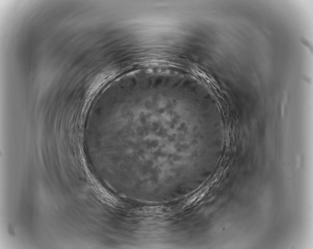 X0000094420049200711081144