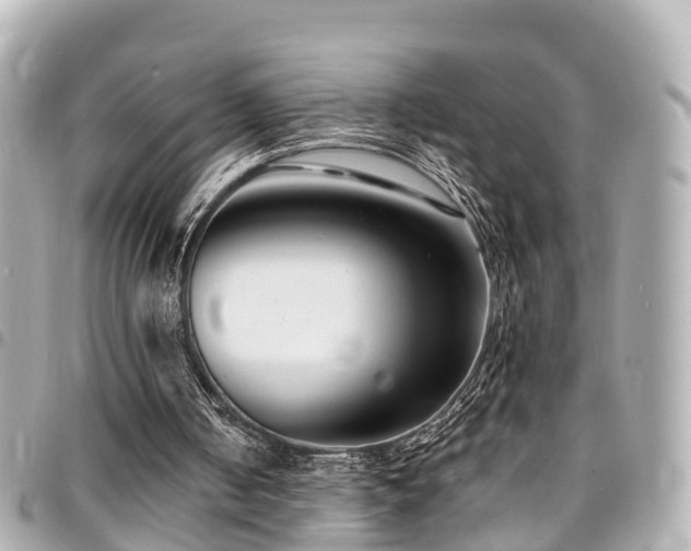 X0000094420050200711081144