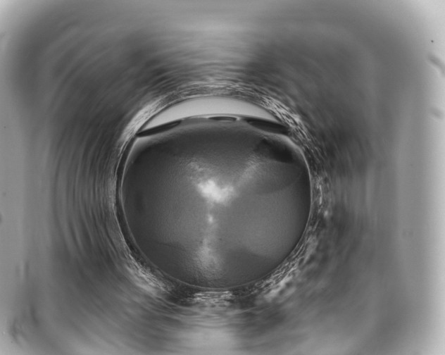 X0000094420051200711081144