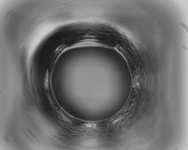 X0000094420052200711081144