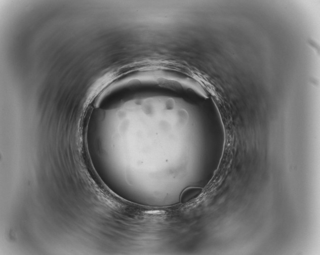 X0000094420053200711081144