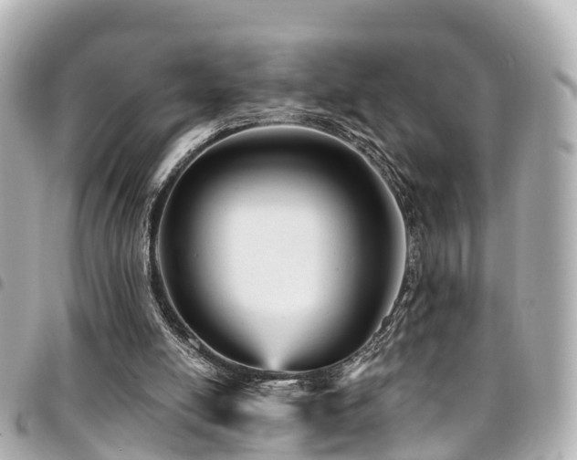 X0000094420054200711081144