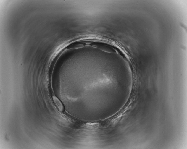 X0000094420055200711081144