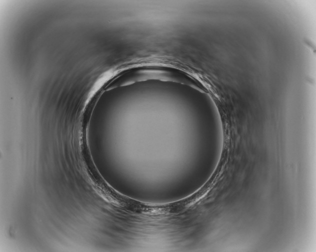 X0000094420056200711081144