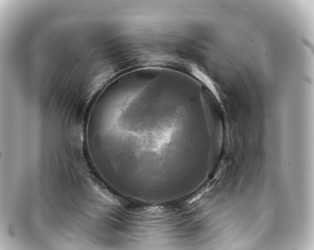 X0000094420059200711081144