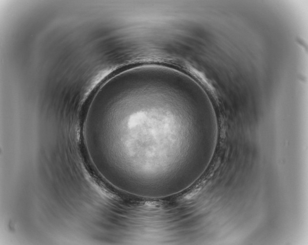 X0000094420060200711081144