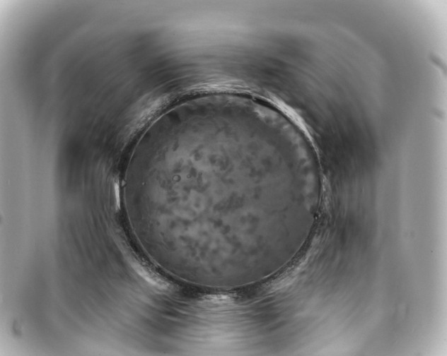 X0000094420061200711081144