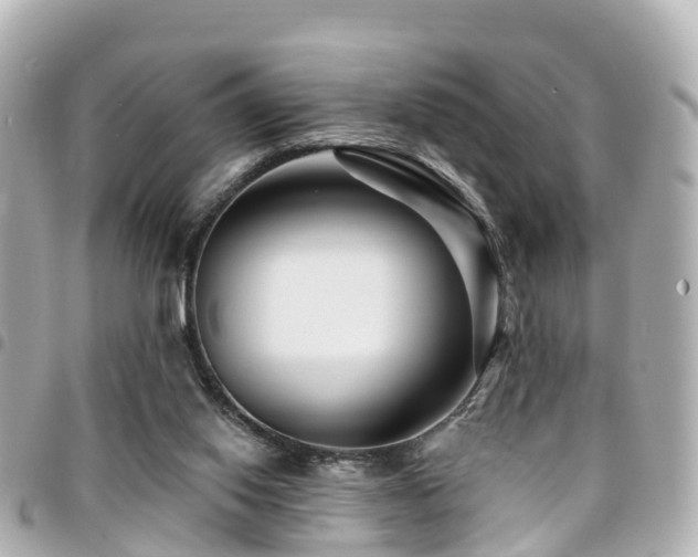 X0000094420062200711081144