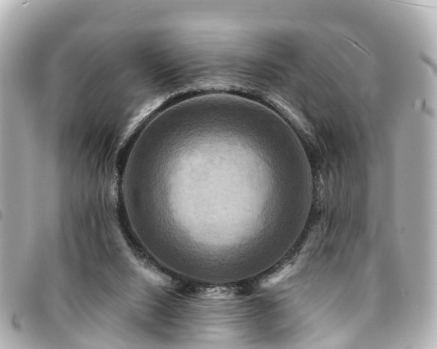 X0000094420064200711081144