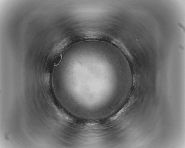 X0000094420066200711081145