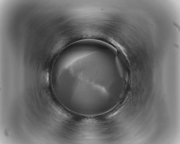 X0000094420067200711081145