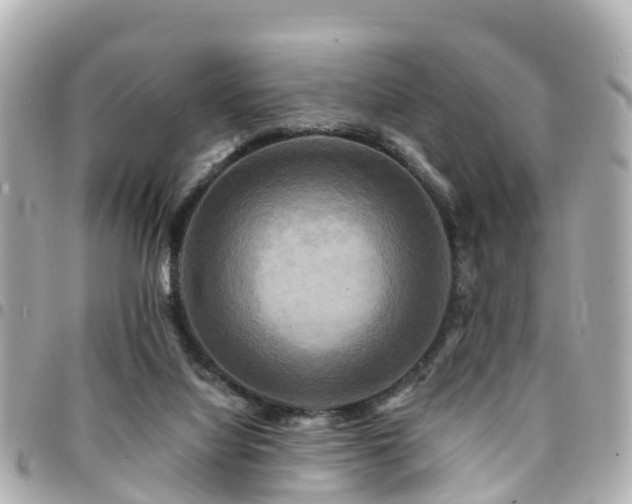 X0000094420068200711081145