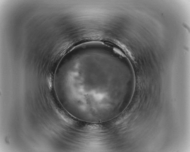 X0000094420069200711081145
