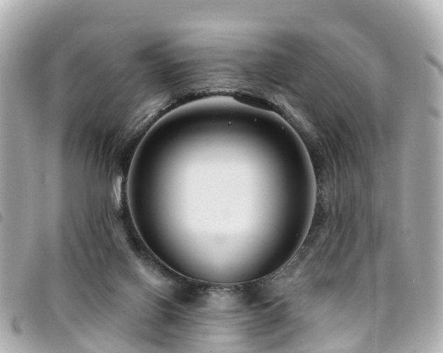 X0000094420070200711081145