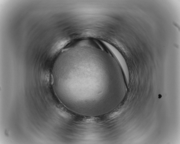 X0000094420072200711081145