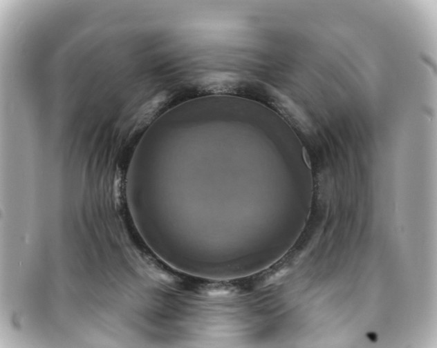 X0000094420073200711081145