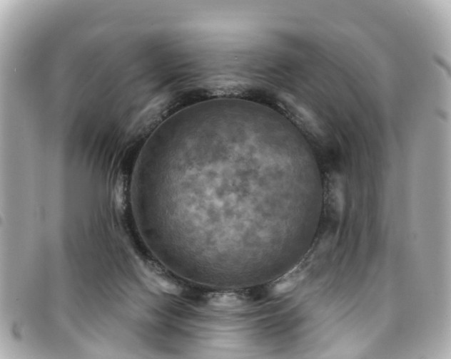 X0000094420074200711081145