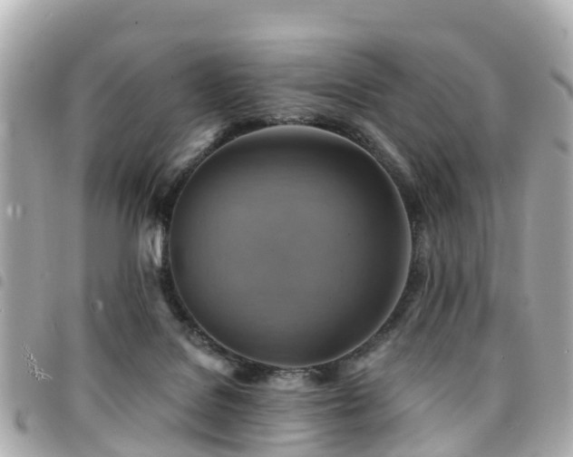 X0000094420076200711081145