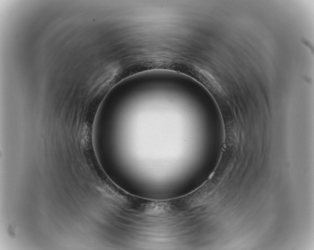 X0000094420077200711081145