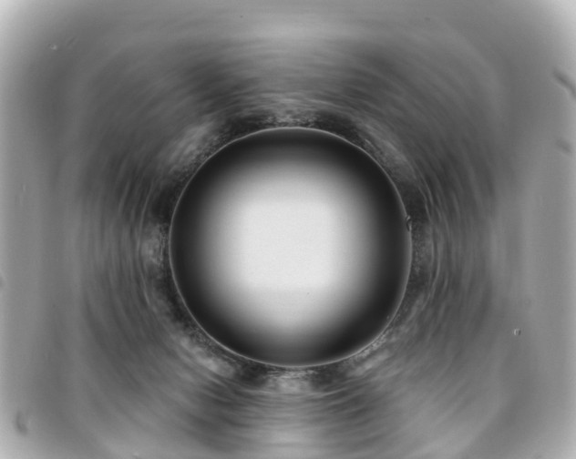 X0000094420078200711081145