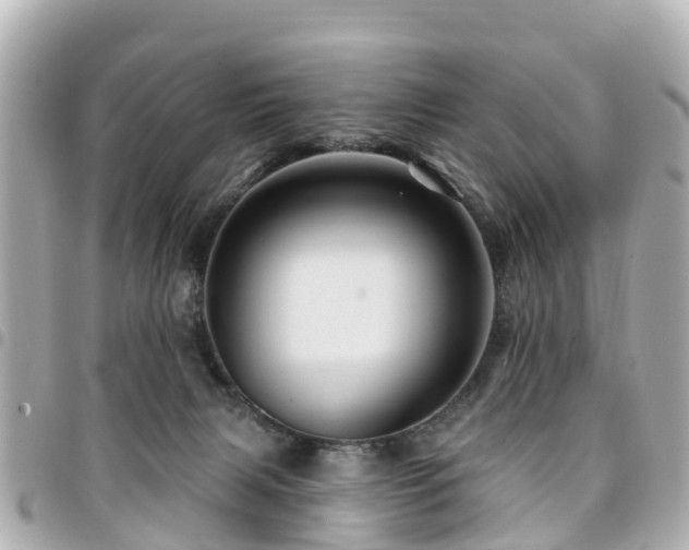 X0000094420079200711081145