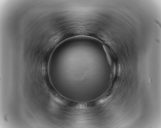 X0000094420080200711081145