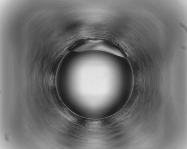 X0000094420081200711081145