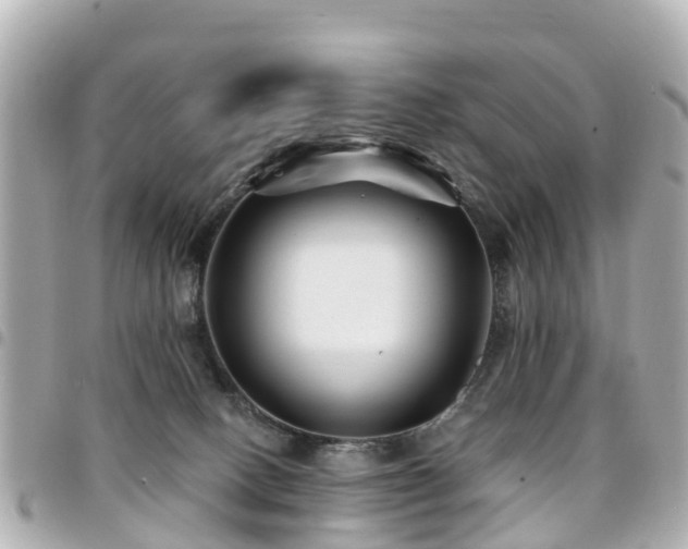 X0000094420082200711081145