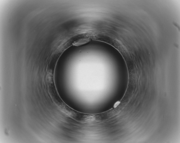 X0000094420083200711081145